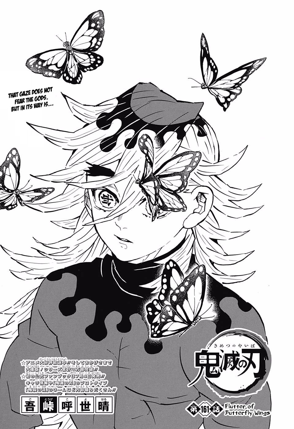Demon Slayer Chapter 161 - Page