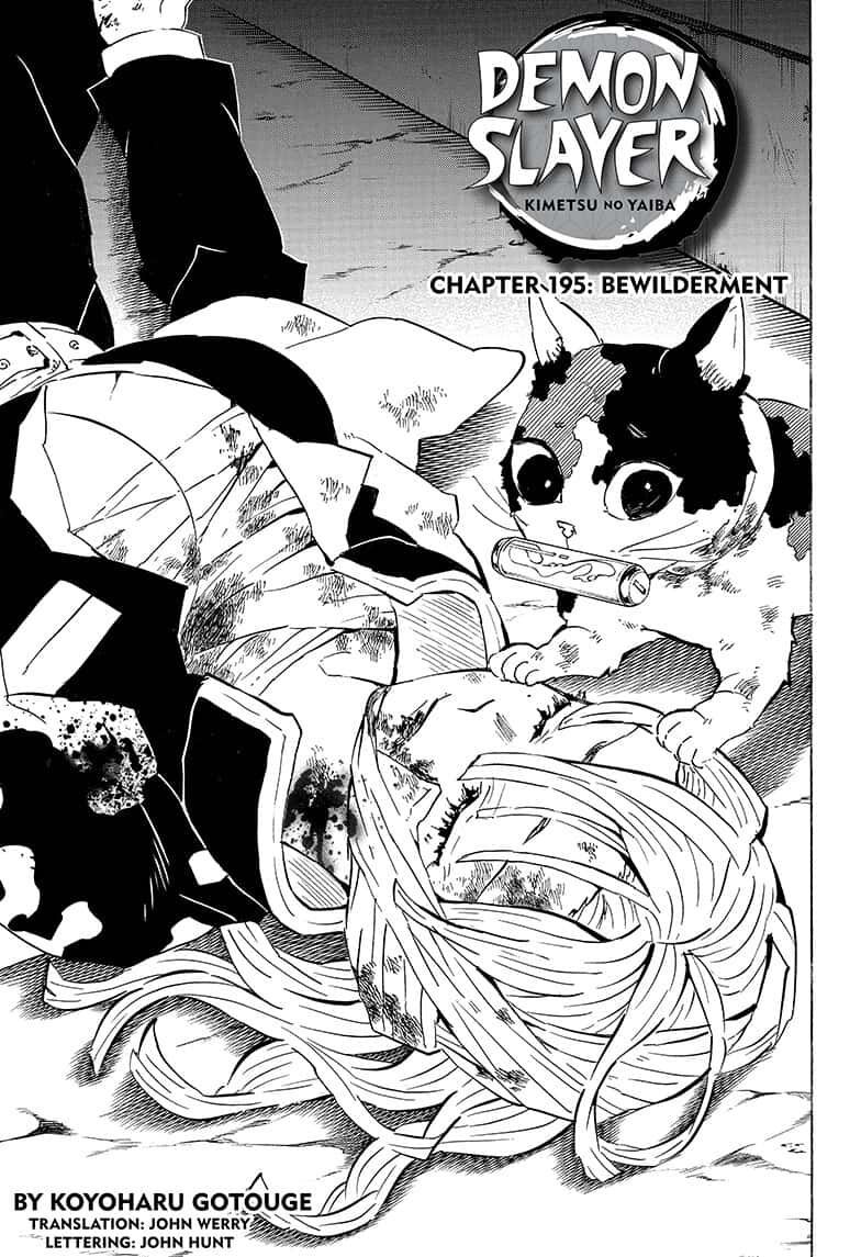 Demon Slayer Chapter 195 - Page