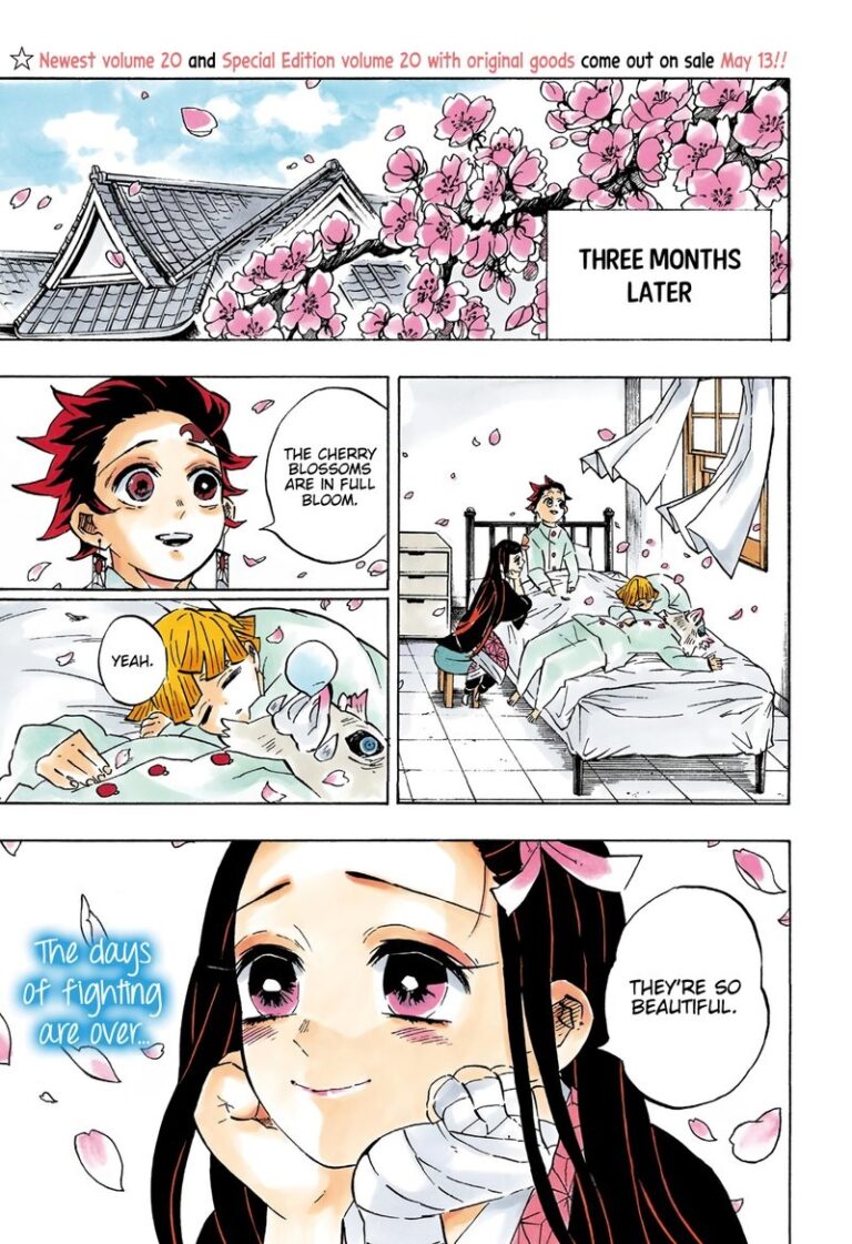 Demon Slayer Manga Chapter 204