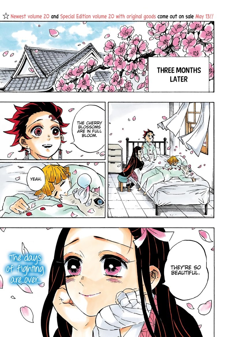 Demon Slayer Manga Chapter 204