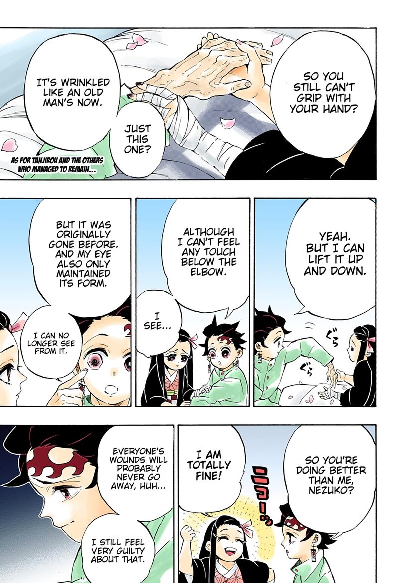 Demon Slayer Chapter 204 - Page